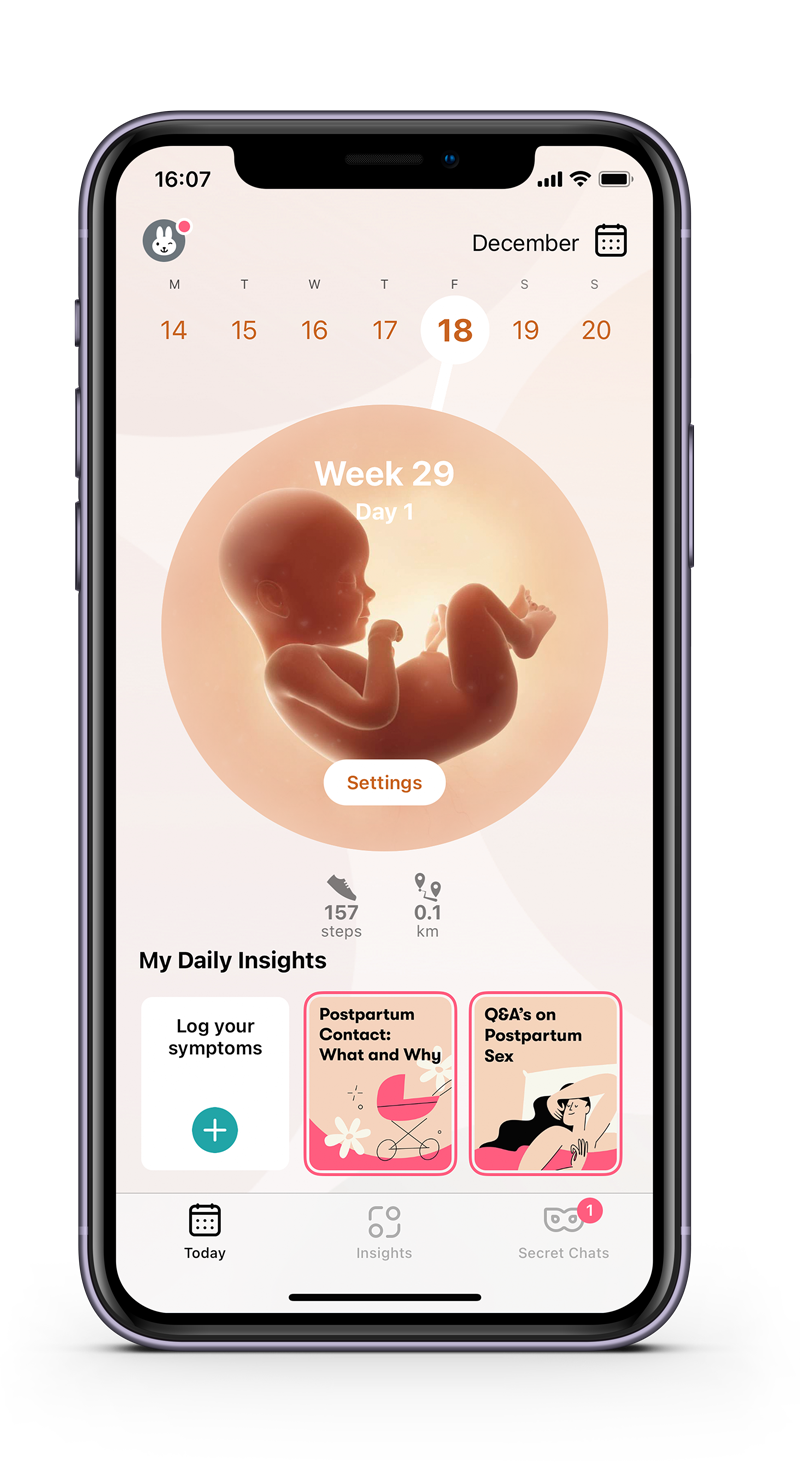 The 2024 pregnancy app